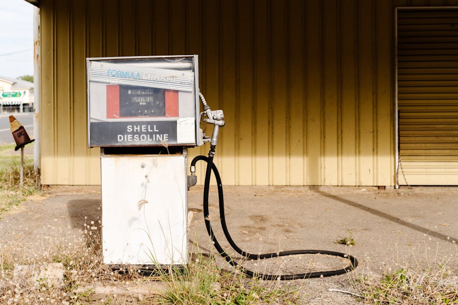 Miriam Margolyes Made Me Me review — an unusually intimate portrait
